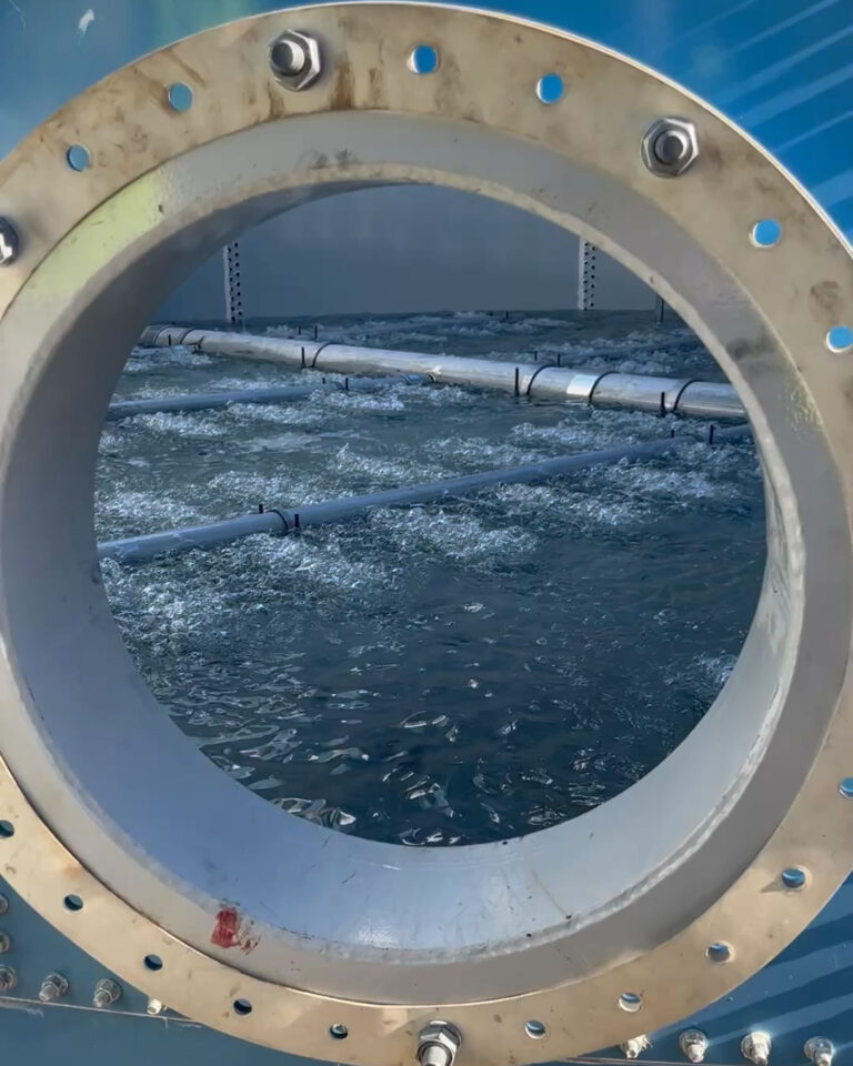 Wonders Of Wastewater